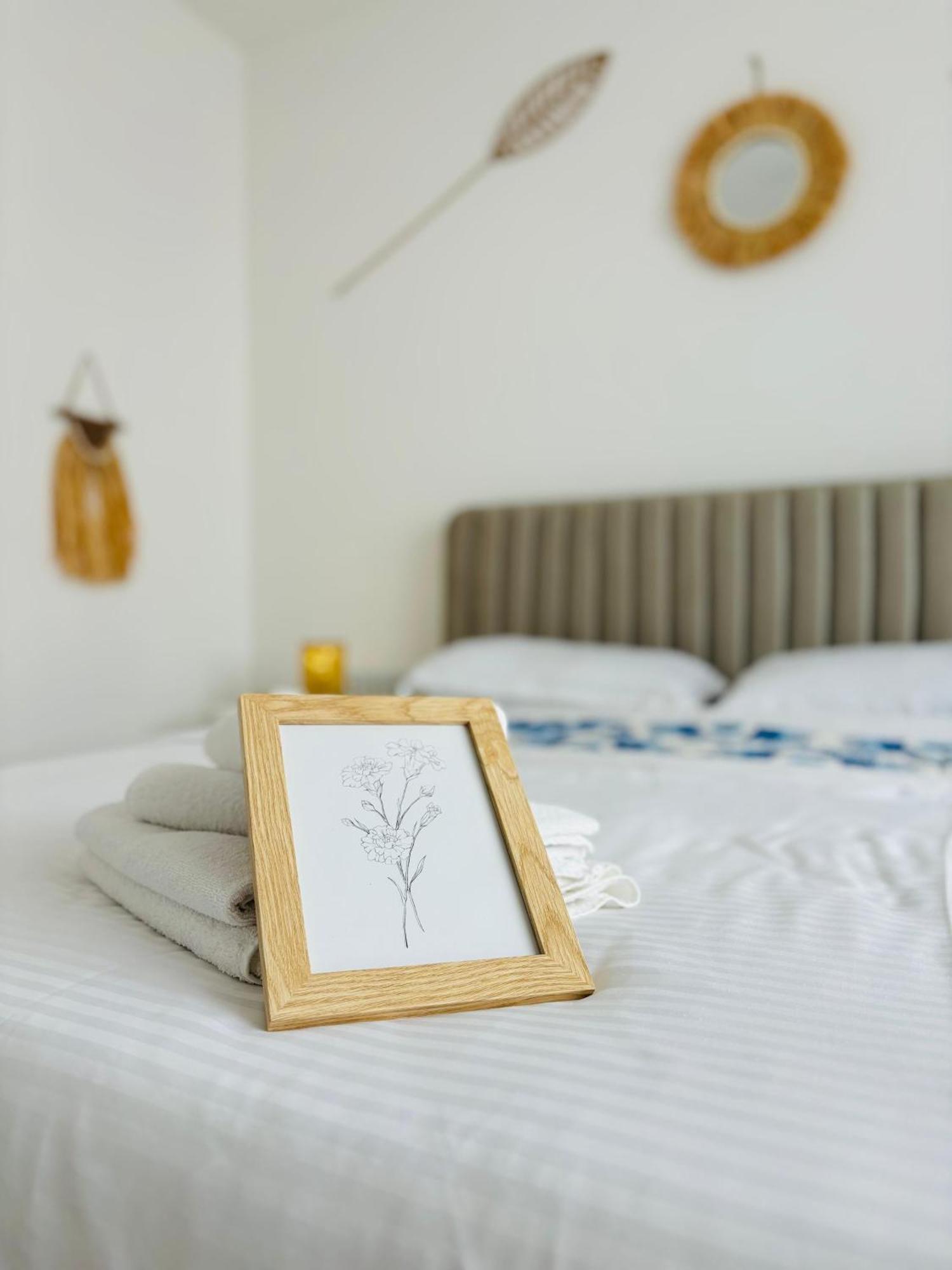 Amos Apartment-Ultracentral-Free Parking Kaloşvar Dış mekan fotoğraf