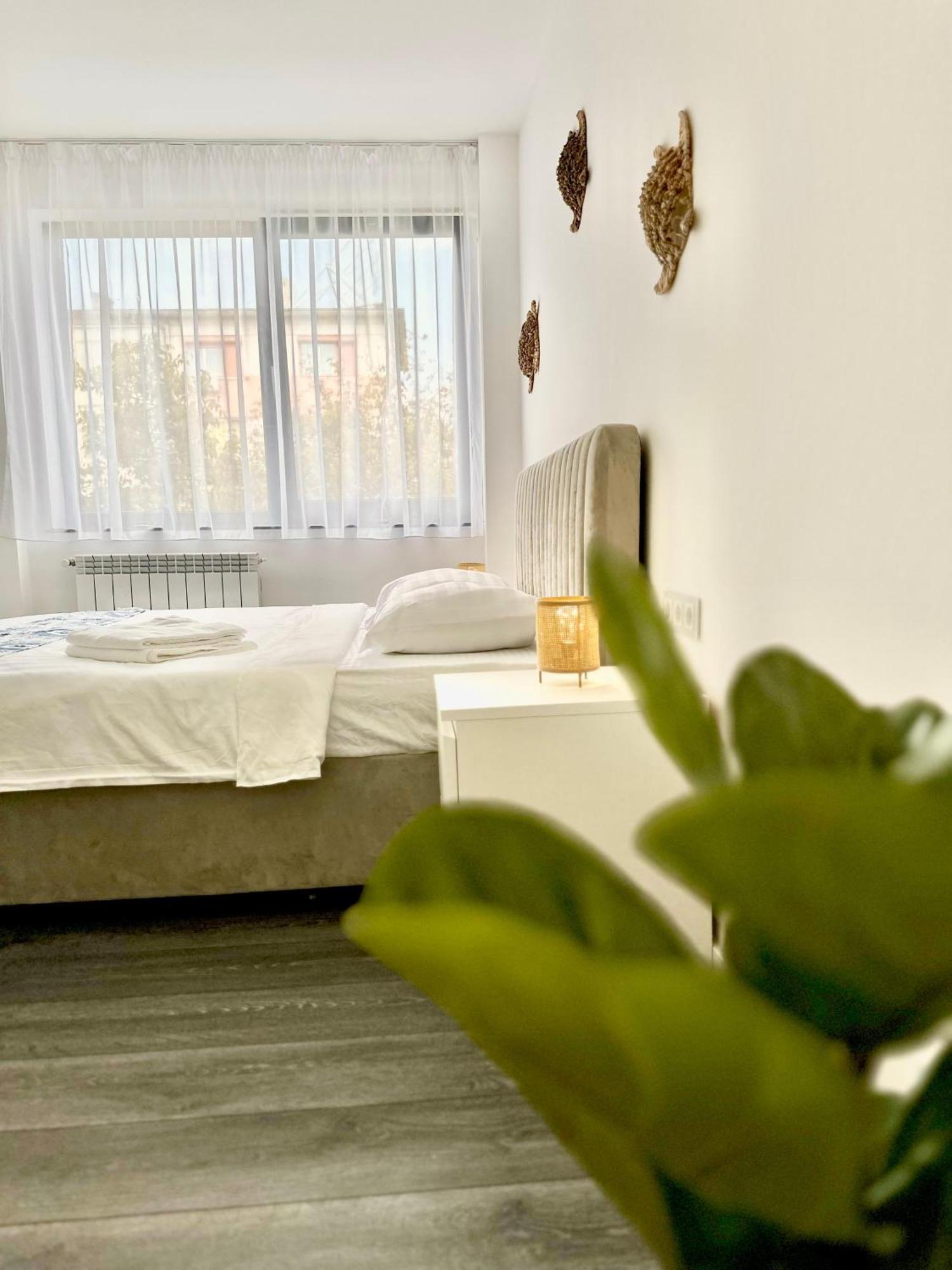 Amos Apartment-Ultracentral-Free Parking Kaloşvar Dış mekan fotoğraf