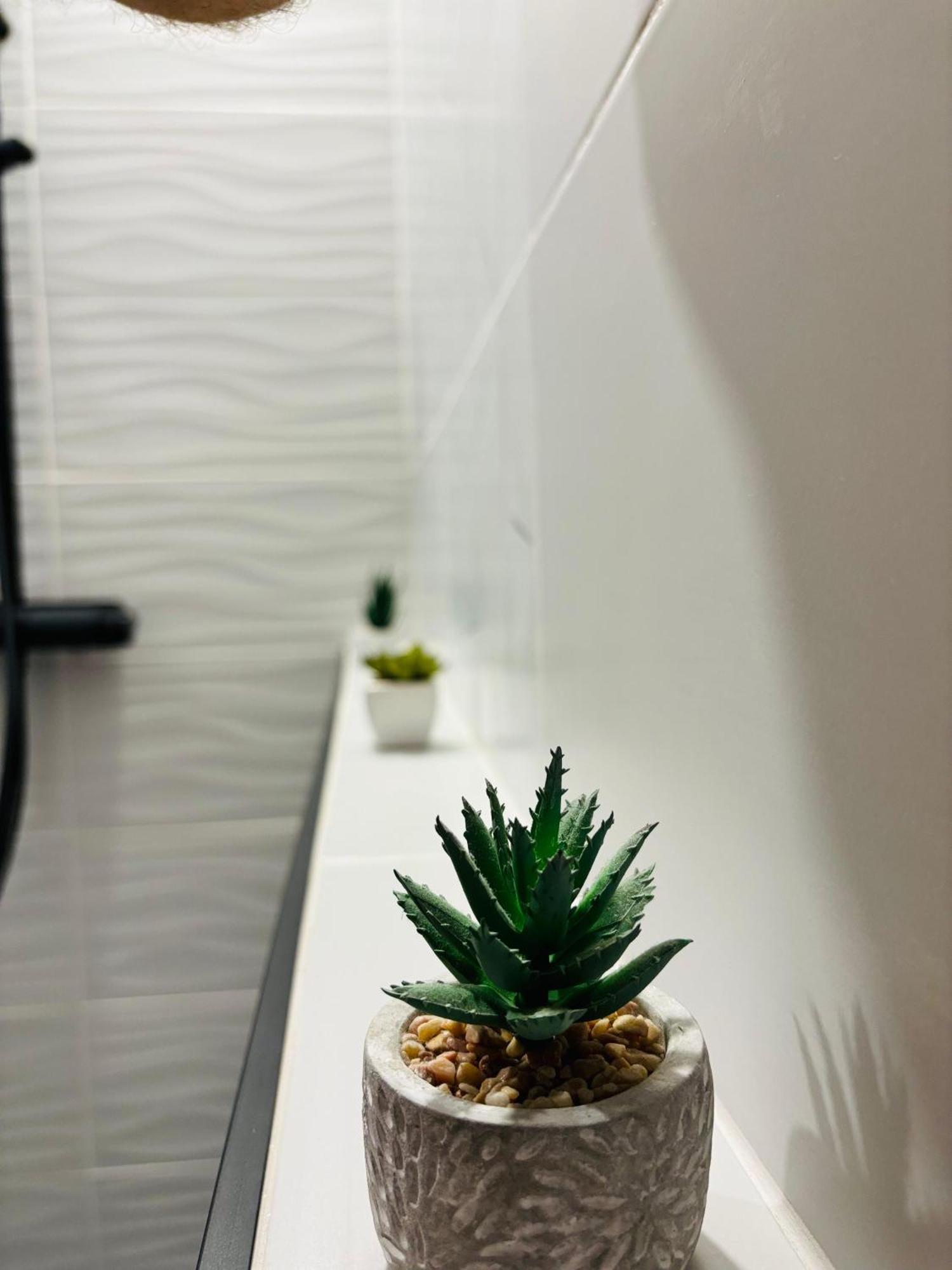 Amos Apartment-Ultracentral-Free Parking Kaloşvar Dış mekan fotoğraf