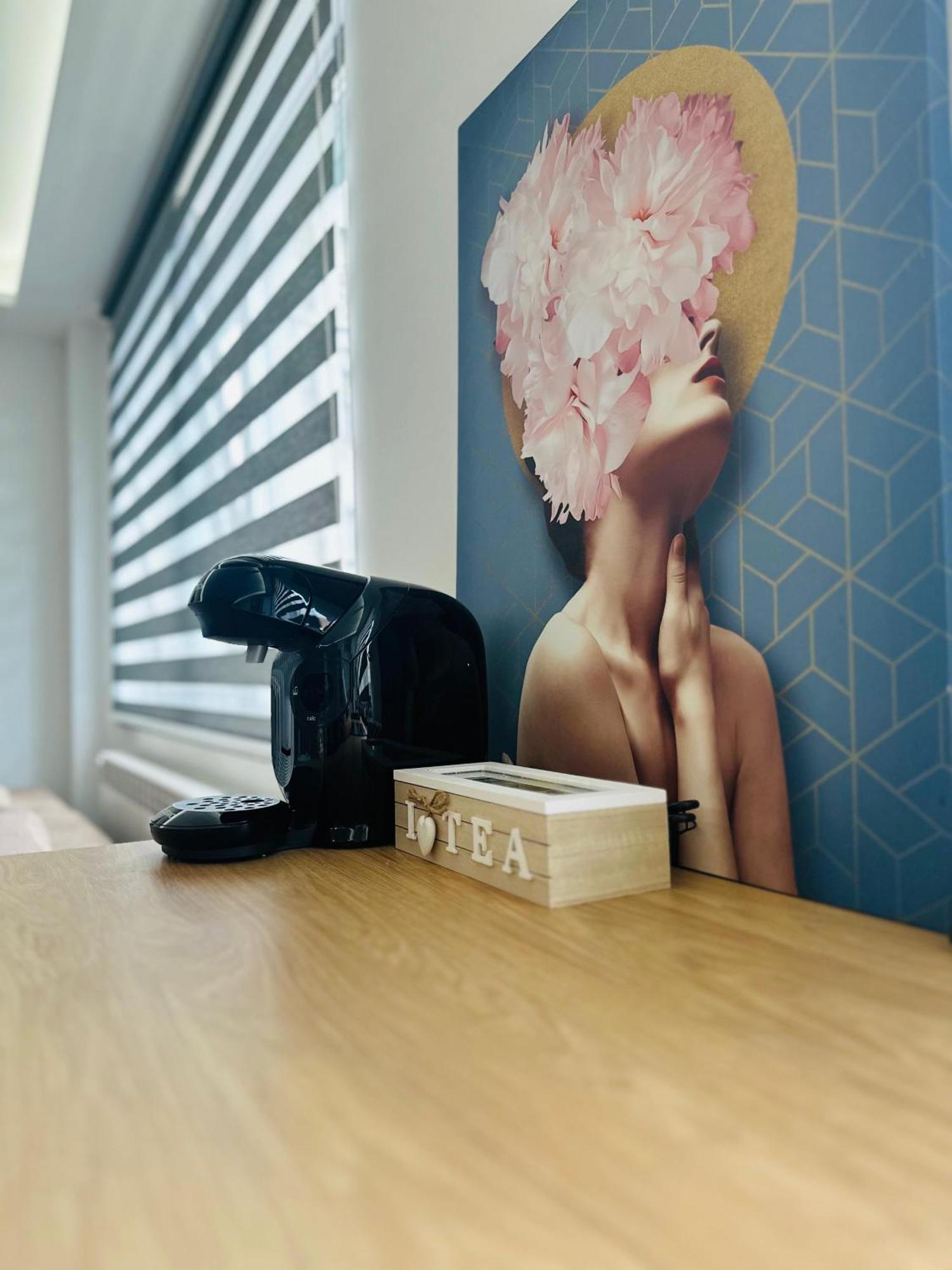 Amos Apartment-Ultracentral-Free Parking Kaloşvar Dış mekan fotoğraf